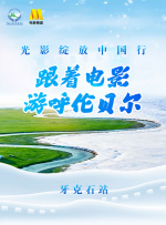 然而成濑在手术后却意外发现自己继承了心脏捐献者的记忆，而幸存的纱子也追寻着男友的心脏来到了成濑身边。