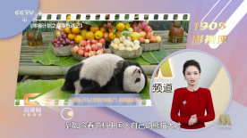 片中克里斯·帕特饰演的警探由于酗酒失去意识后，被指控谋杀妻子，为了证明清白，他需要通过AI法庭来寻找真相。